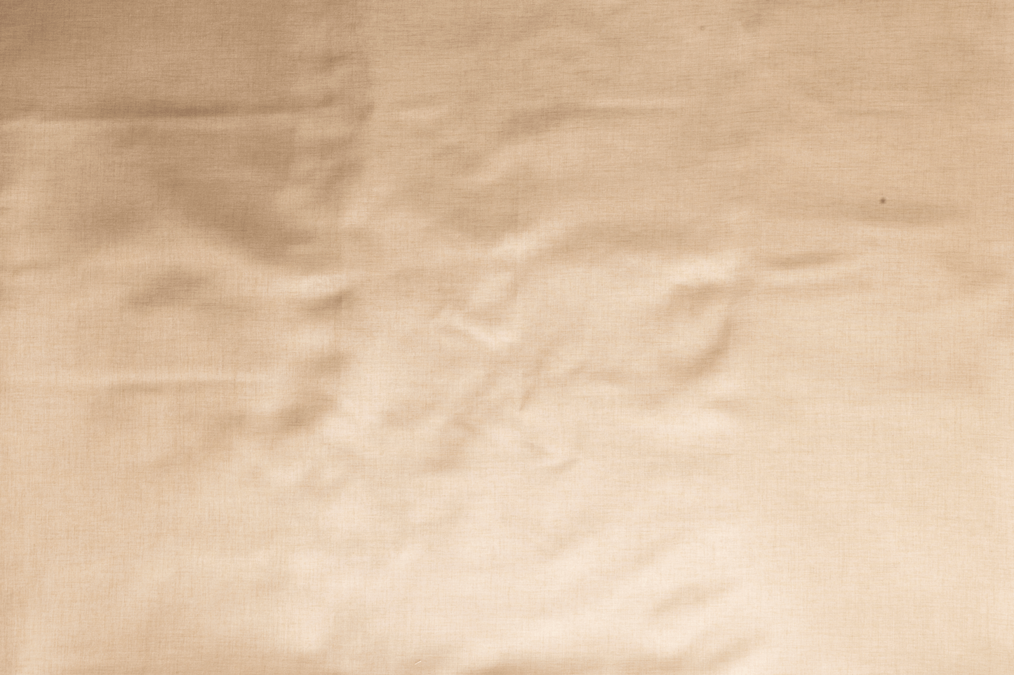 Elegant soft beige Jute Cotton saree featuring delicate white woven motifs throughout the body - BOOMIKA