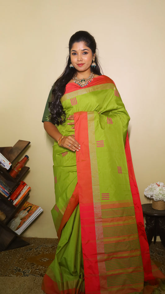 Elegant pashmina ethnic drape